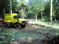 Site clearance prior to development, Guisborough
