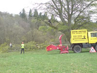 Limb removal to stabilise weak tree structure